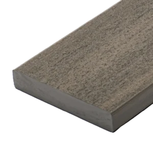 Ch Aurora Falcon Grey