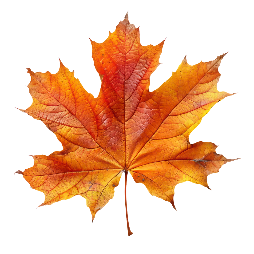Canadian maple leaf icon representing proudly manufactured in Canada