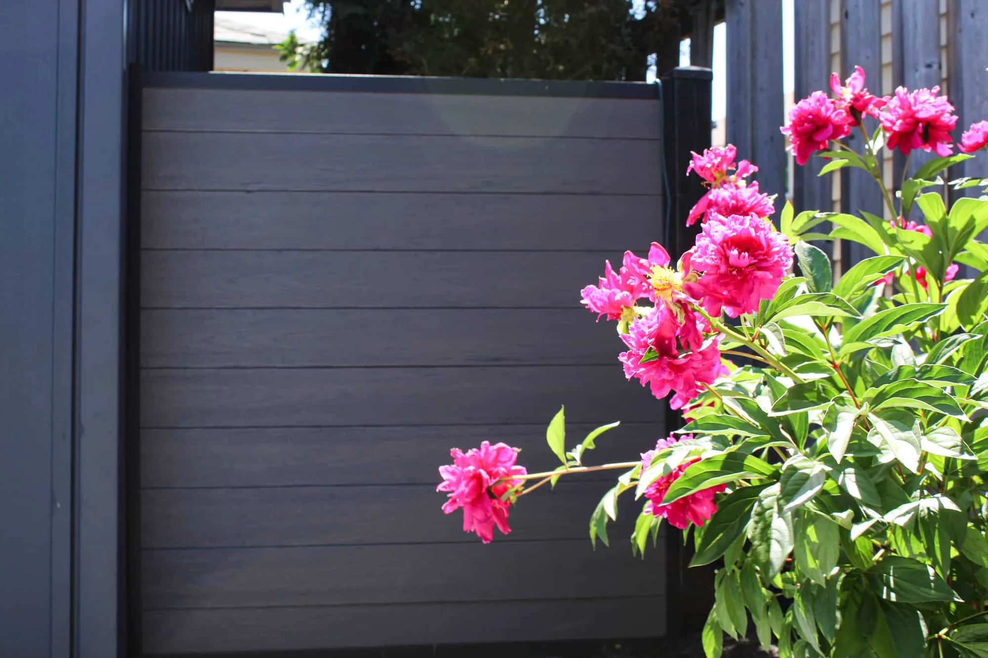 TruNorth Composite Ash Grey deck installation photo