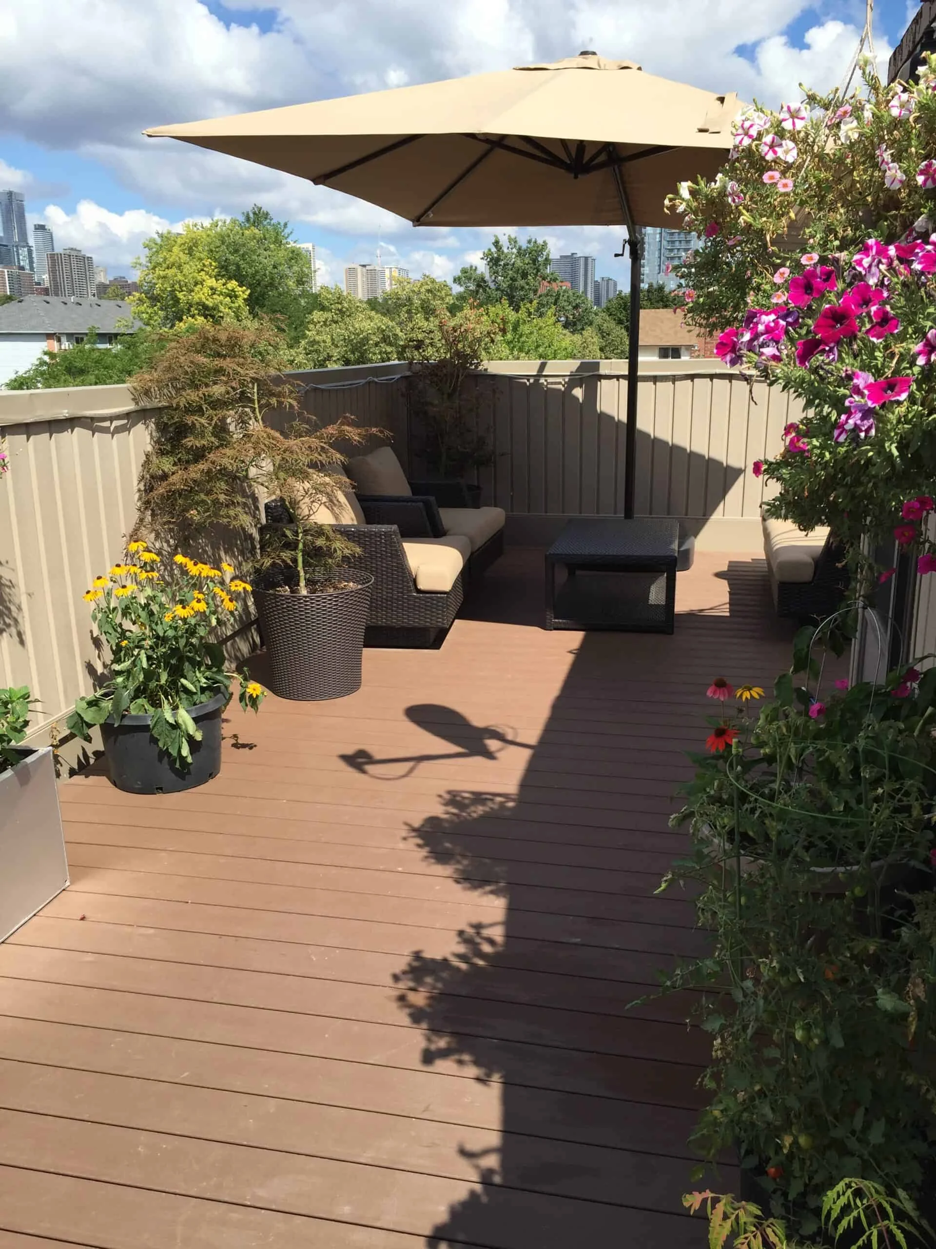 TruNorth Composite Mocha deck installation photo